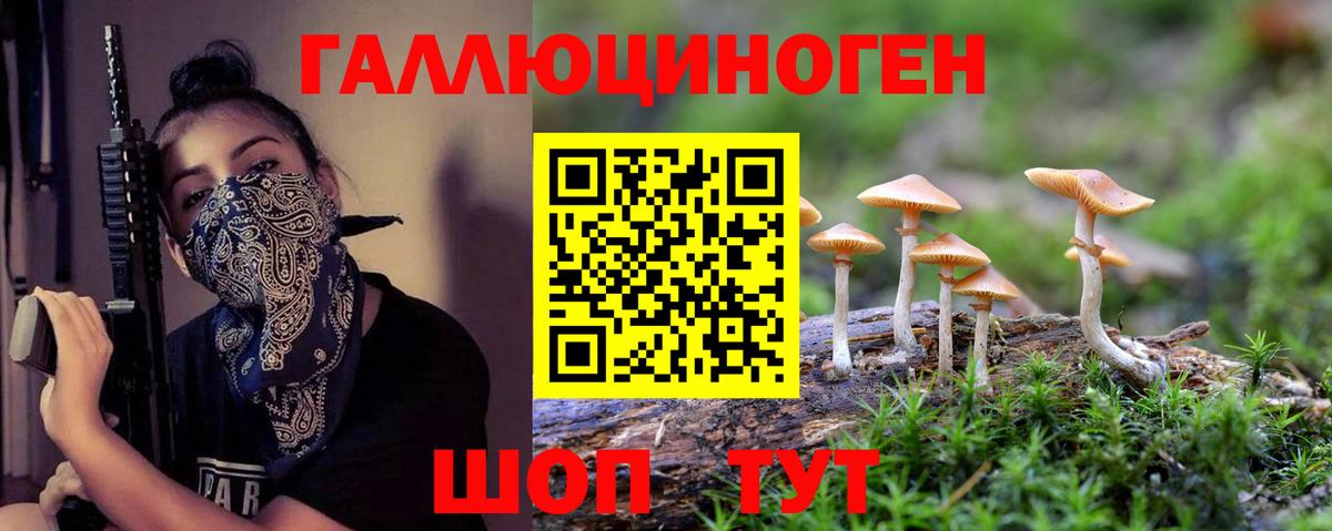 Галлюциногенные грибы Cubensis Рославль